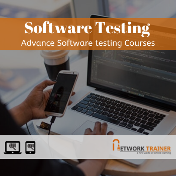 Software testing (1)